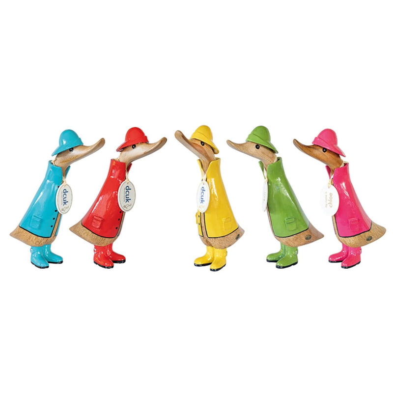 DCUK Ducklings in Raincoats - Assorted