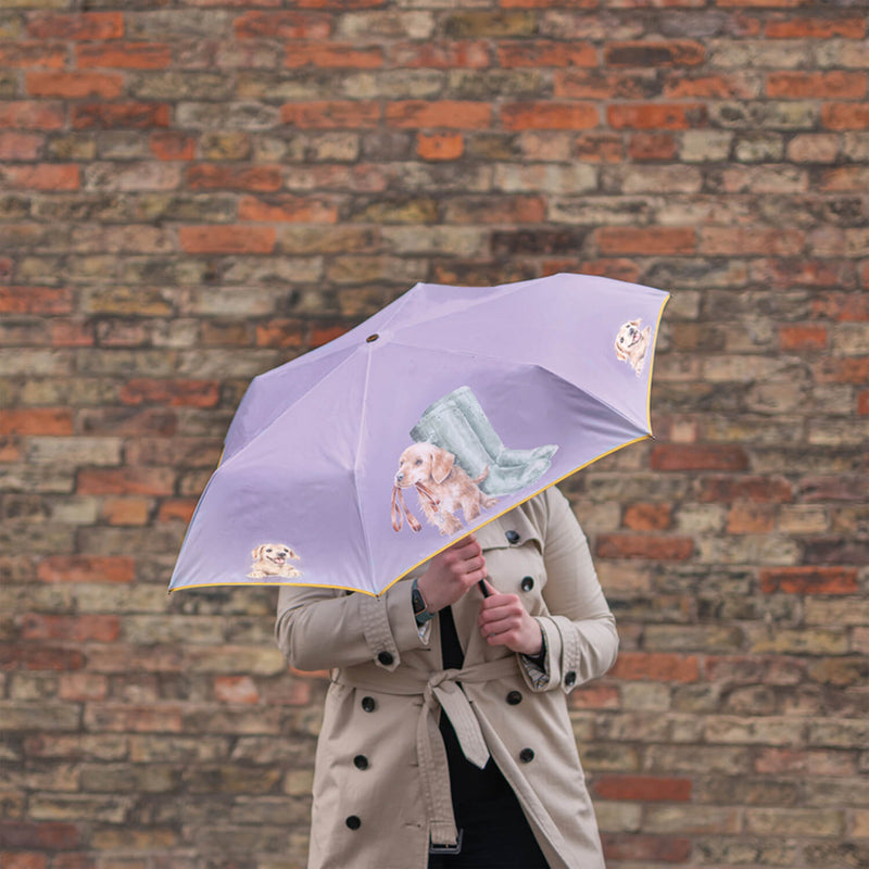 Wrendale Designs by Hannah Dale Umbrella - 'Hopeful' Labrador