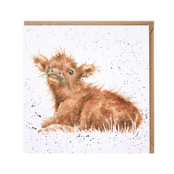 Wrendale Designs by Hannah Dale Card - Wee Hamish